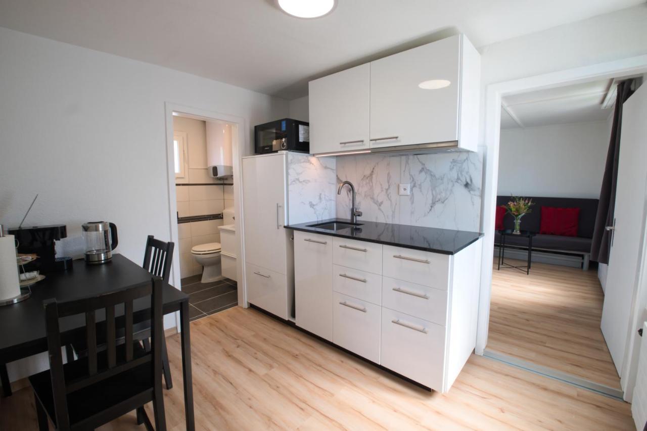 Lake Getaway Apartment With Private Entrance, Right On The Lake Constance Cycle Path, Barbecue Area, Free Wifi, Netflix And Free Bikes Salmsach Exterior foto